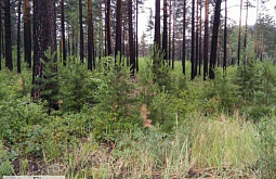 ����� ��� ������ ������ � ������� ����� � ������ �����