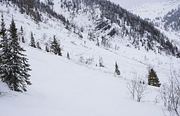 �� �������� � ������� ��������� �������� ��������� 