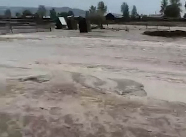 � ���� ��-�� ������� ����������� ���������� �� �������� �� ��������