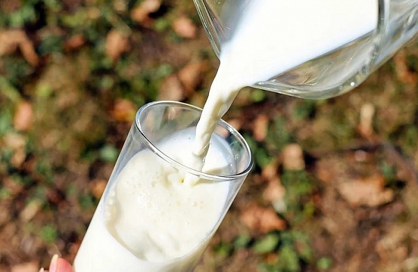 В Бурятии с продажи сняли 38 партий молочной продукции