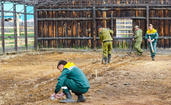 � ������� � ����������� 30 ��� ������� ������� ������ ��������