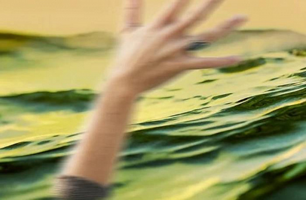 ������ ������� ������ ������� � ���� 