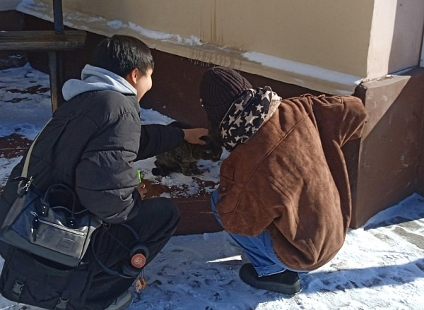 � ����-��� �������� ��� ������ ����� �� ��������