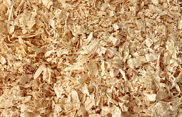 � ���������� �������� �������� �� ���������� ������� �� ���������