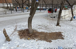 � ����-��� ������������ �� �����������, ���������� ���� ���� ����������� 