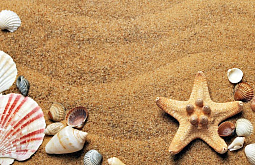 ����� �������� ����������� ��������� ����� ������ � ����� �����