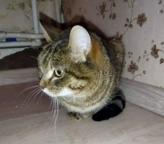 � ����-��� ������� ������� � ������� �������� ����� � �������