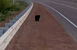 ������� ��������� ����-��� ������ ������ � ������� ����������