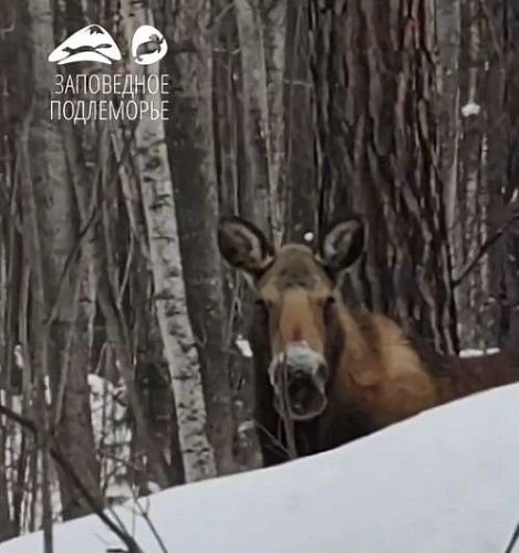 � �������� ������� ������������� � ��������� ������ ����� �� ������