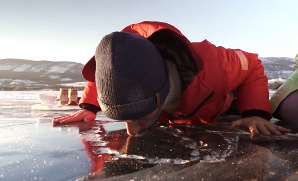 ������ ������ ������������� ����������� �������� ������� 