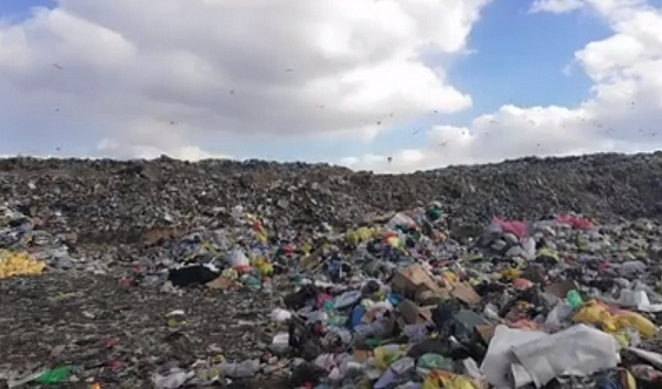 � ������� ���� ������������� �������� �� ��������� �������� � ����������� 