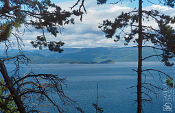 � ������ ������ �������� ����� ��� ���������� ����������� �� ������� 