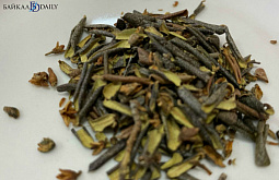 � ������� ������� ������������ �� ������� �������������� ��������