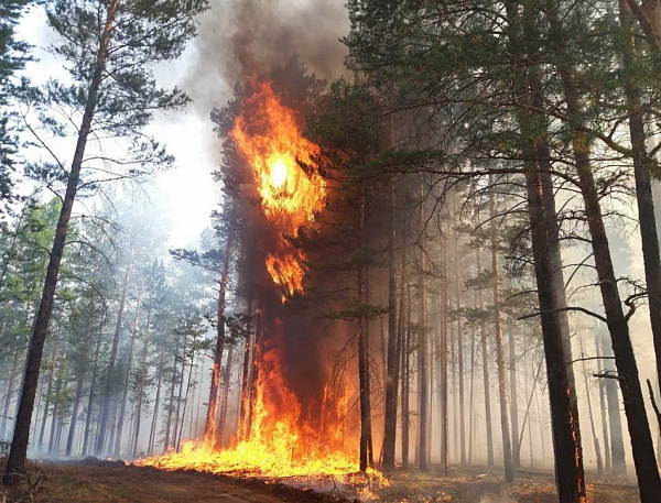 � ������� ����� � �������� ������ ���� �� ���� � ���� 