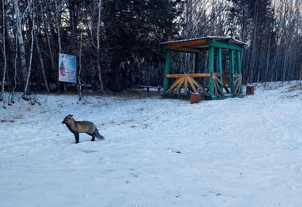 � �������� ������� ����������� �� ��������� ��������� ����