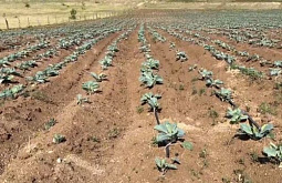 В Бурятии пройдёт инвентаризация всех мелиоративных систем