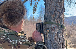 � ������� �������-�������� ����� ������� �� ������� ��������