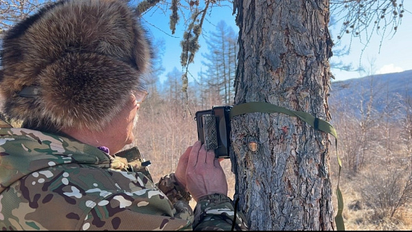 � ������� �������-�������� ����� ������� �� ������� ��������