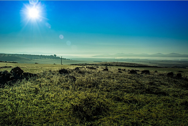 ������ ������� �������� �� ��������������� ��������