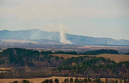 � ������� ����� ���� ������ �����