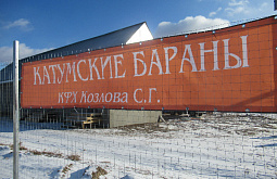 ����-������ �������� � �������������� ����� ���� �����������