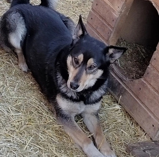 � ����-��� ��������� �������� �� ������ ��� ������� ������ �� �����