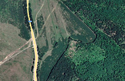 В Бурятии учёные предлагают развивать агролесоводство на заросших лесом сельхозугодьях 