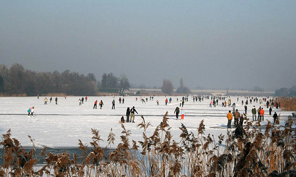 В городах Иркутской области пройдёт студенческое катание «Все на лёд!»