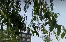 � ������� ��������� ��� � �� ��������� � ��������������� ������ 