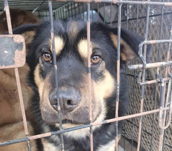 �� ��� � ����-��� �������� 6,5 ����� �����