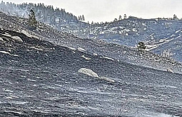 � ������� �������� ������� ����������� �����