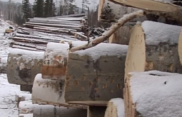 � ��������� ������� ������������ �� ������ ������� �� 342 �������� 