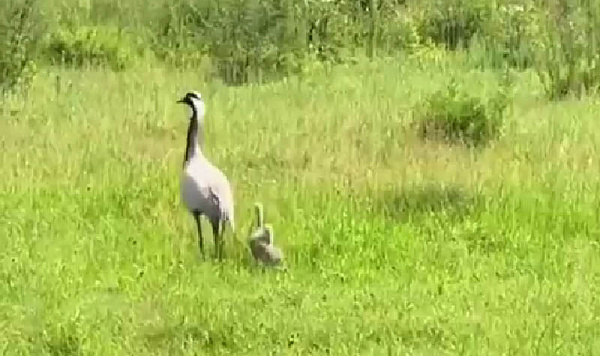 � �������� ������� ������� ������������� �������