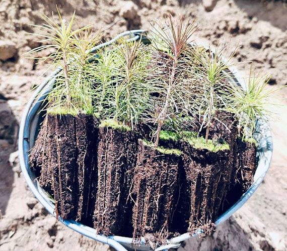 � ������� �������� ����� 6000 ������� �����