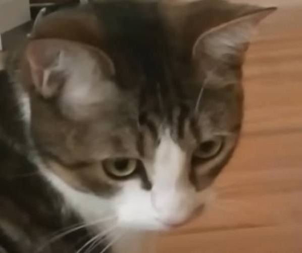 � ������� �� �������� ����������� ������� ������� 30 �����