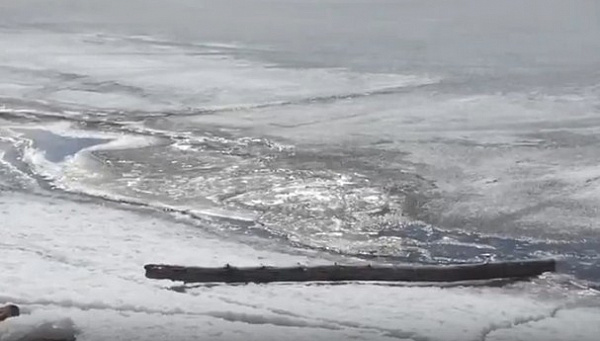 ��������, ���� �� ���������� ���� �������� �� �������, ����� ������ 