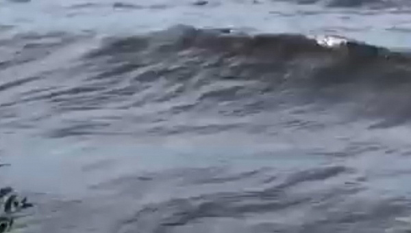 В Бурятии почернел и дурно запах Байкал 