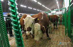 � ������� ��������� �������� 103 ��������������������  