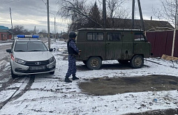 � ������� ���������� ������������� ������� ����������� ����� 2,5-�������� �����