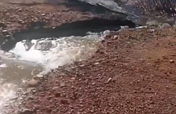 ‎� ���� ������� ����� ������