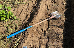 � ������� ������� �������, ������� ���� �� ����� ������� �������� ������ 