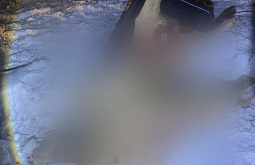 В Иркутской области браконьеры убили трёх косуль