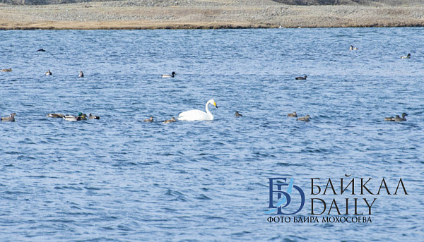 �� ����� ������� ����� �������� ��������� �����