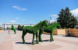 Улан-удэнцы портят топиарные фигуры на площади Советов 
