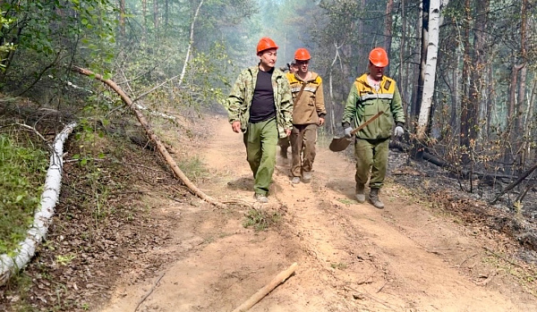 �� ������ ������� �������� ������ �����