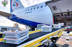 � ������� ���������� ����� 250 ��������� ��������