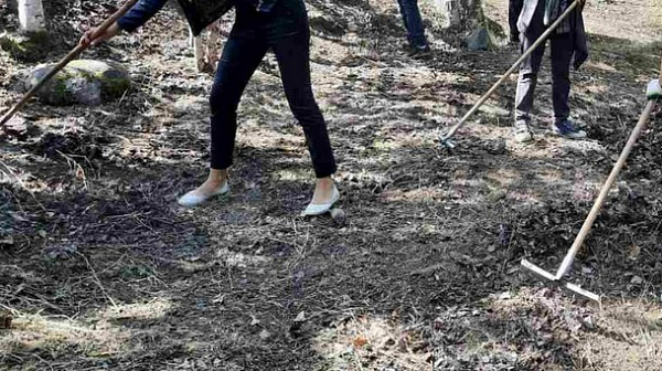 � ������� ��������� ������ ������� � ����� 