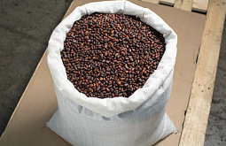 �� ������� ���������� ������ � ���� ���� ������ ��������� ����� � �����