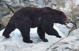 � ��������� ������� ������� ������ ��� � ������� � ������ 