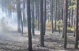 � ������� �������� ��������� ������� ������ 